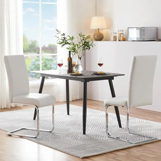 Modern Dining Chairs Set of 2