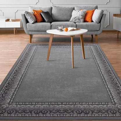 Bordered Modern Indoor Area Rug